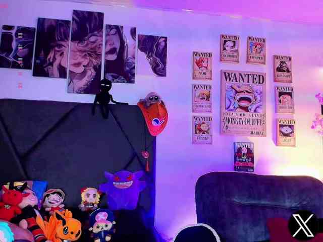 Aryrouse webcam