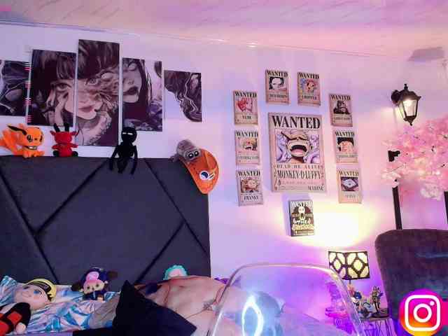 Aryrouse webcam