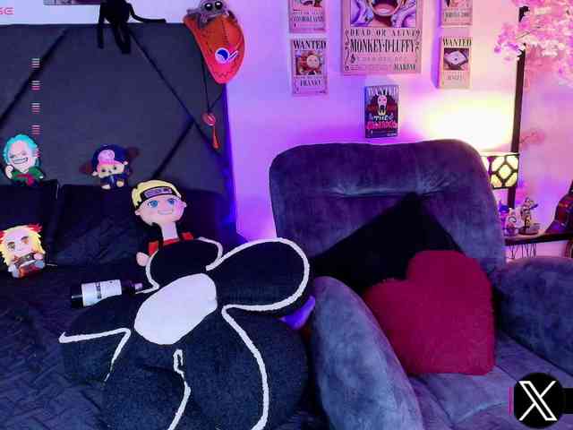 Aryrouse webcam