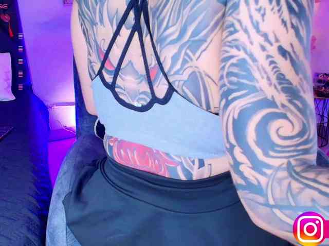 Aryrouse webcam