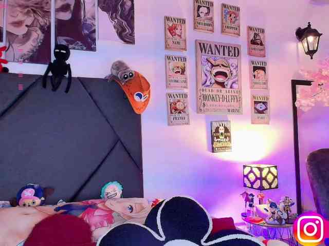 Aryrouse webcam