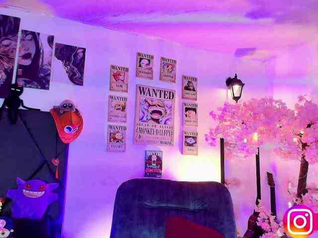 Aryrouse webcam