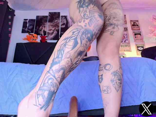 Aryrouse webcam
