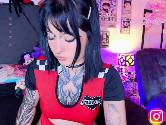 Aryrouse webcam
