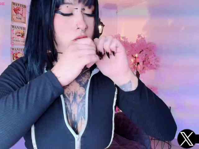 Aryrouse webcam