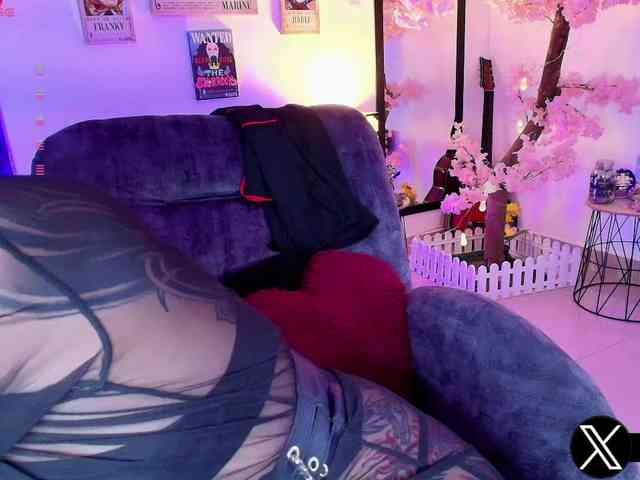 Aryrouse webcam
