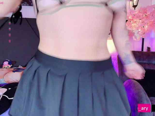 Aryrouse webcam