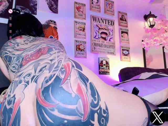 Aryrouse webcam