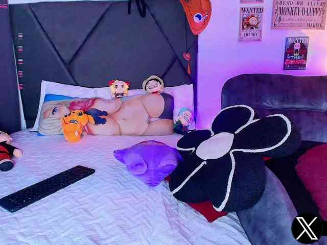 Aryrouse webcam