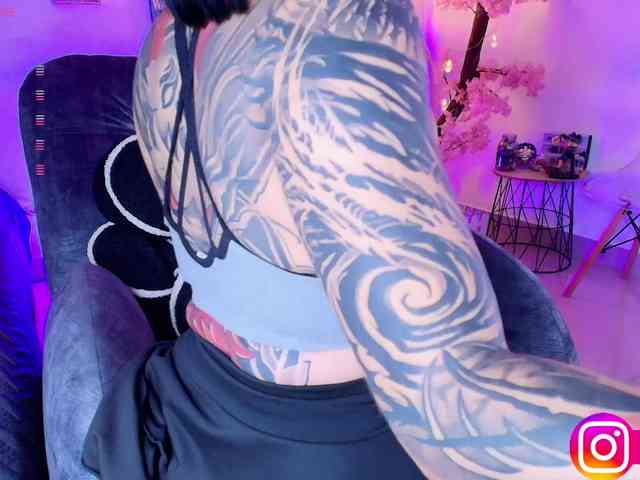 Aryrouse webcam