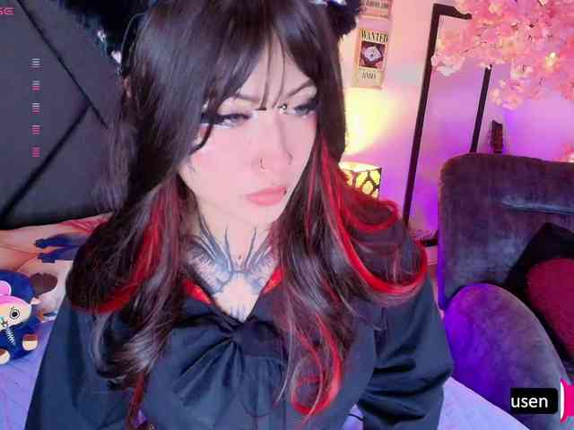 Aryrouse webcam