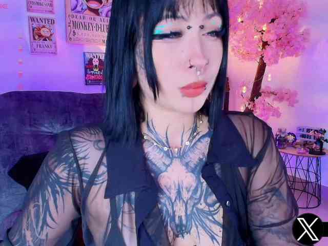 Aryrouse webcam