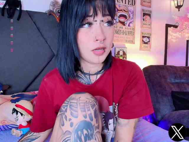 Aryrouse webcam