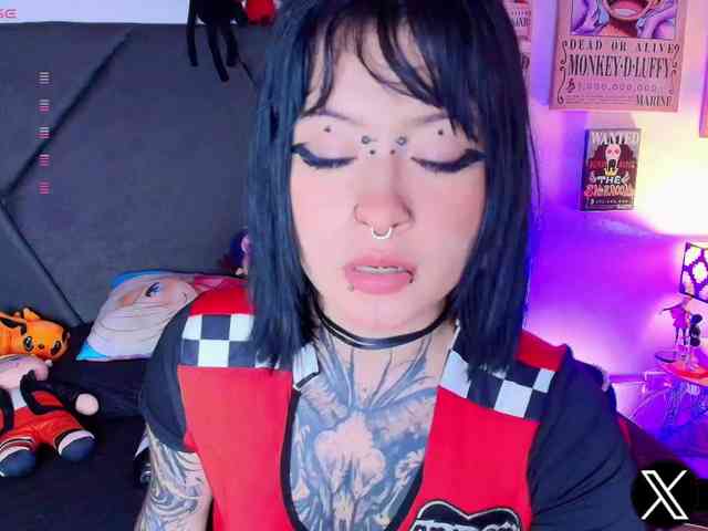 Aryrouse webcam