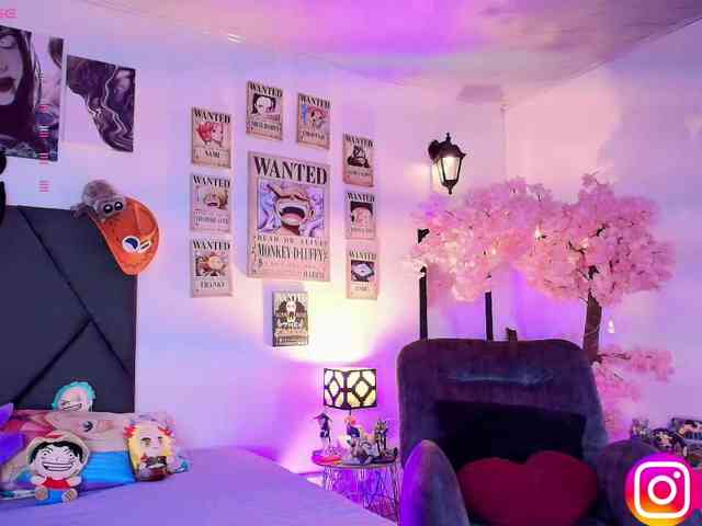 Aryrouse webcam