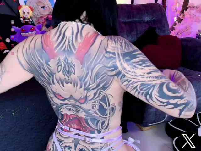 Aryrouse webcam
