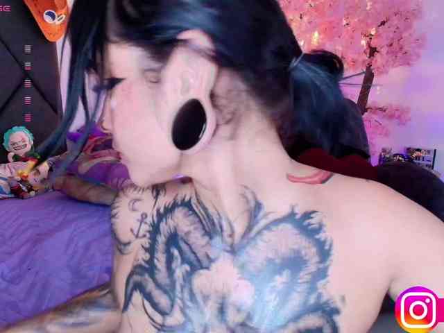 Aryrouse webcam