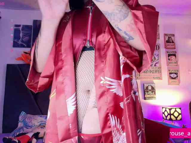 Aryrouse webcam
