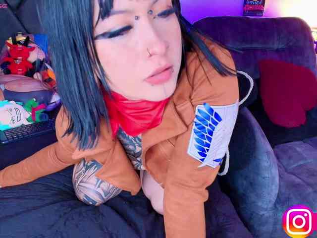 Aryrouse webcam