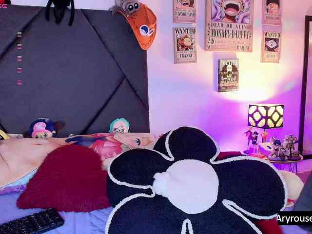 Aryrouse webcam