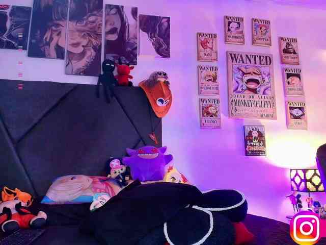 Aryrouse webcam