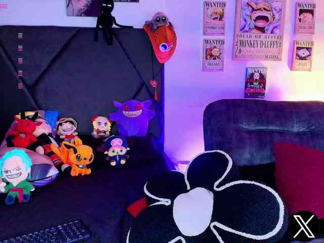 Aryrouse webcam