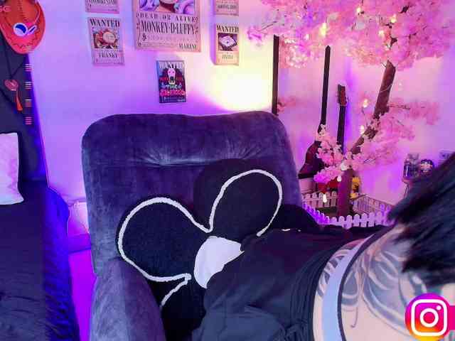 Aryrouse webcam