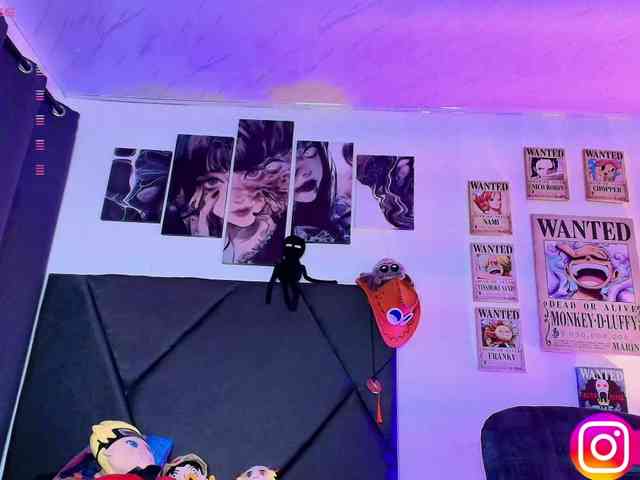 Aryrouse webcam