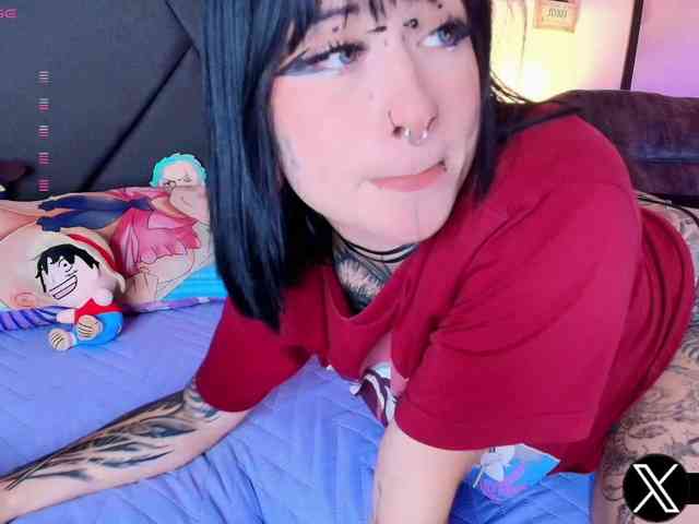 Aryrouse webcam