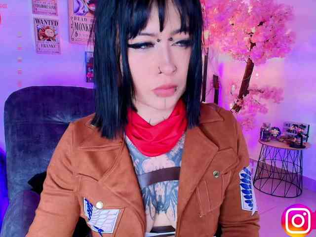 Aryrouse webcam