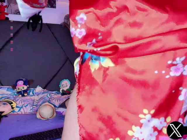 Aryrouse webcam