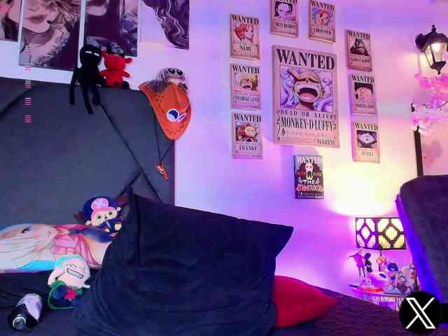 Aryrouse webcam