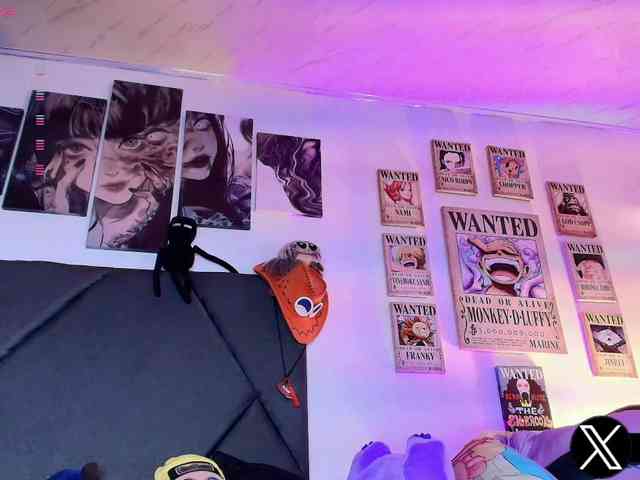 Aryrouse webcam