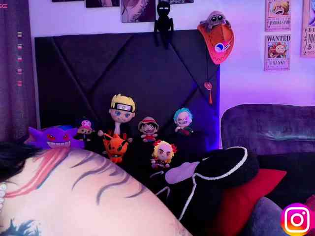 Aryrouse webcam