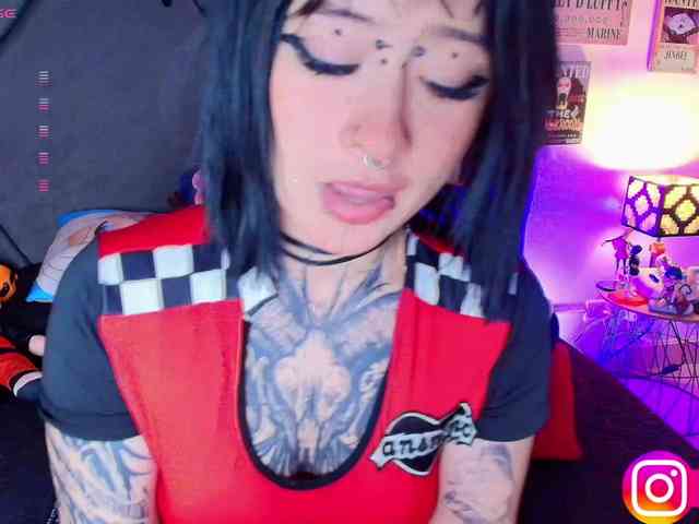 Aryrouse webcam