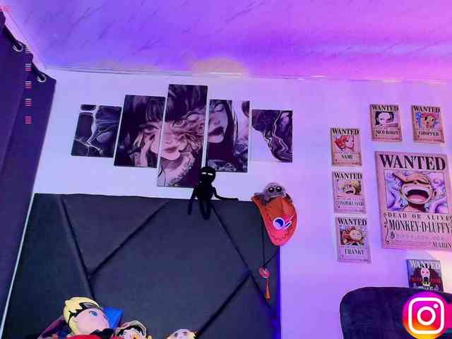Aryrouse webcam