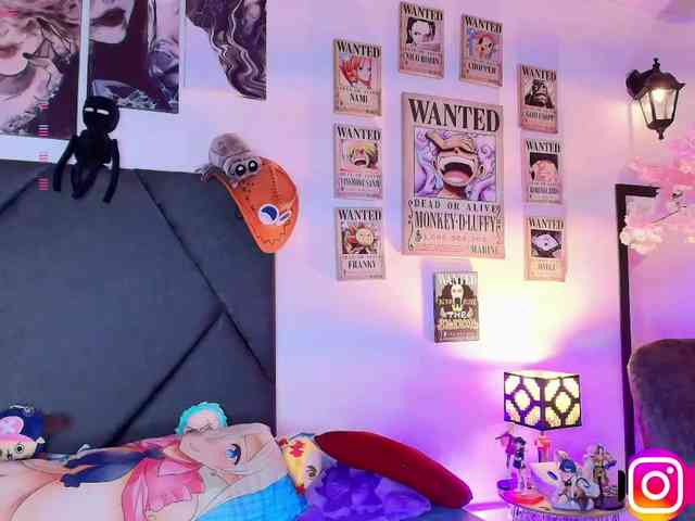 Aryrouse webcam