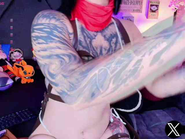 Aryrouse webcam