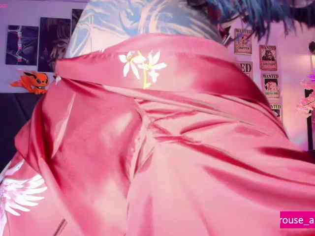 Aryrouse webcam