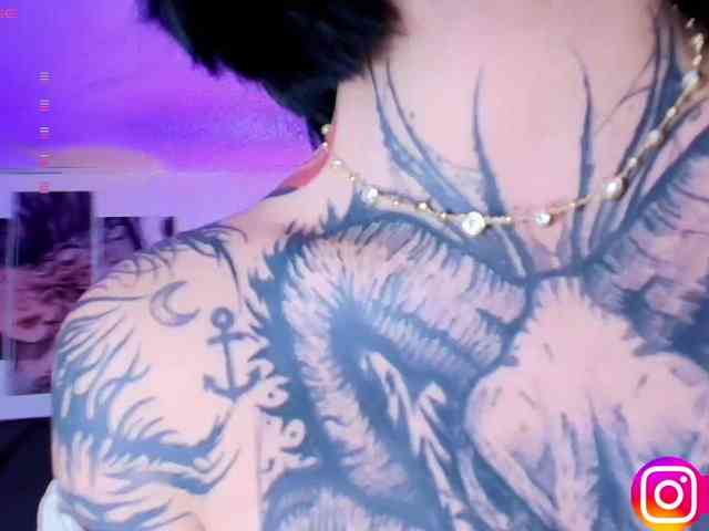 Aryrouse webcam