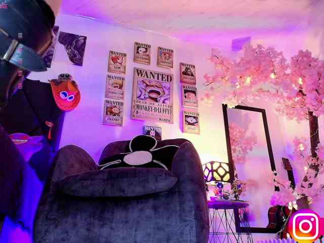 Aryrouse webcam