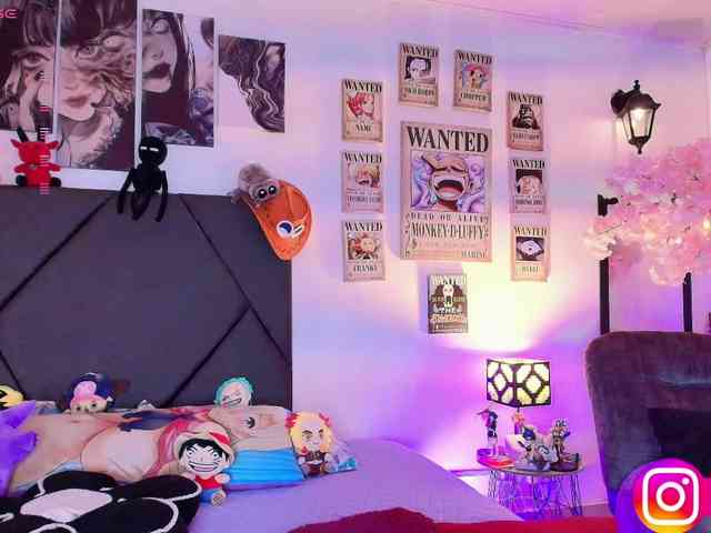 Aryrouse webcam