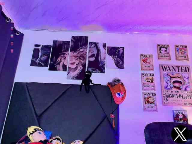 Aryrouse webcam