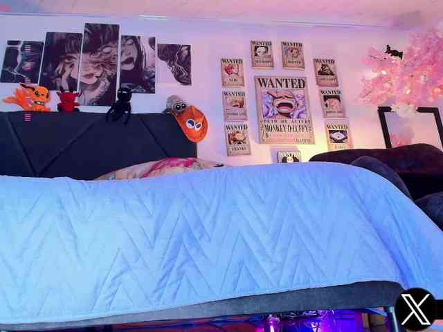 Aryrouse webcam