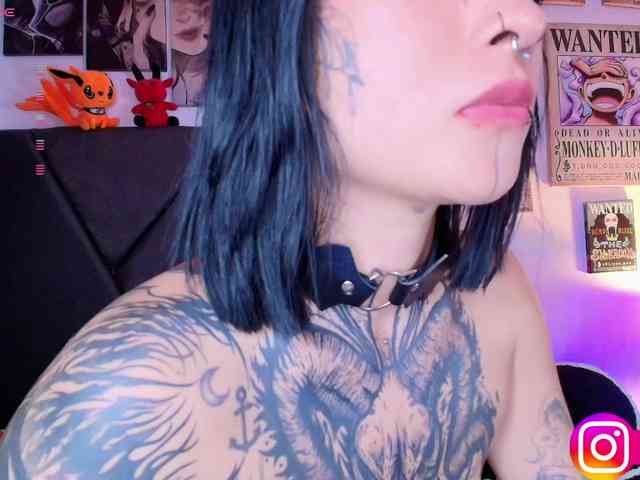 Aryrouse webcam