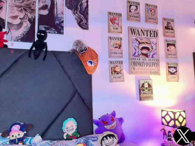 Aryrouse webcam