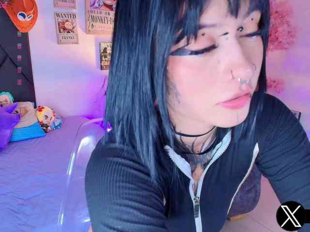 Aryrouse webcam