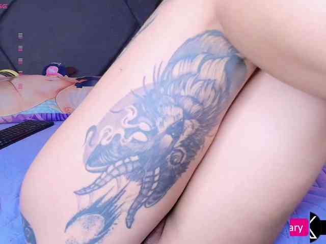 Aryrouse webcam