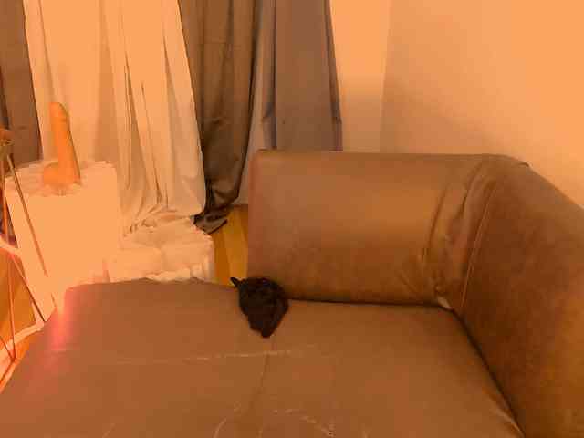 xqueenyunis Live Webcam on BongaCams