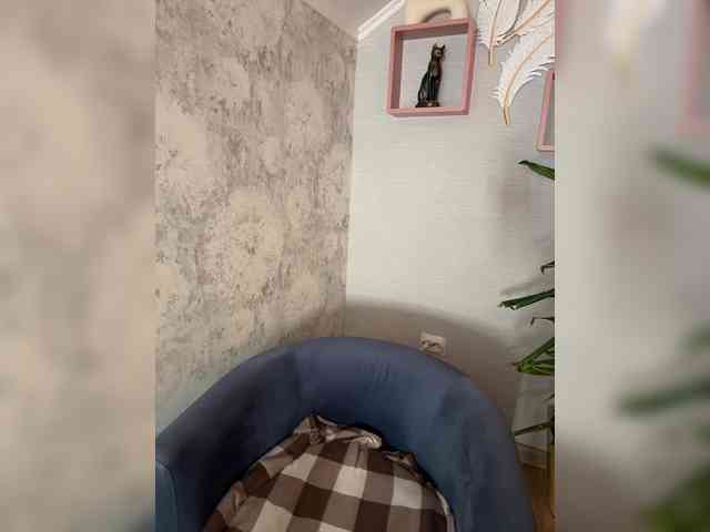 _BASTET_ webcam
